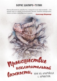 Происшествие исключительной важности, или Из Бобруйска с приветом - Борис Шапиро-Тулин - Читать книги онлайн | Слушать аудиокниги онлайн | Электронная библиотека books-lib.com