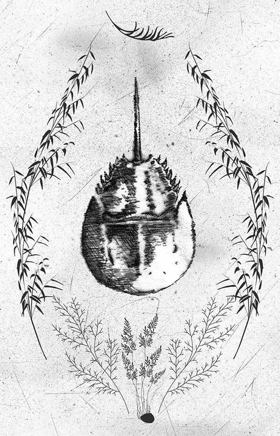 Книга домыслов Книга домыслов