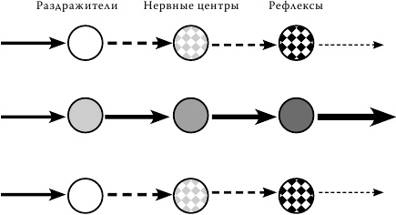 Методология мышления. Черновик Методология мышления. Черновик