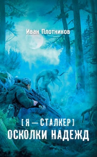Осколки надежд - Иван Плотников - Читать книги онлайн | Слушать аудиокниги онлайн | Электронная библиотека books-lib.com