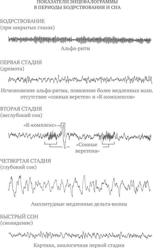Сон ребенка. Решение всех проблем Сон ребенка. Решение всех проблем