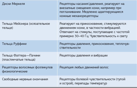 Кинезиотейпинг в лечебной практике неврологии и ортопедии Кинезиотейпинг в лечебной практике неврологии и ортопедии