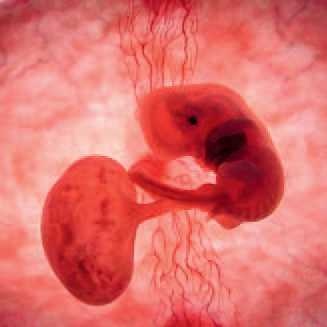 Кинезиотейпинг в лечебной практике неврологии и ортопедии Кинезиотейпинг в лечебной практике неврологии и ортопедии