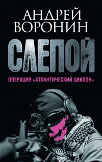 Слепой. Операция &quot;Атлантический циклон&quot; - Андрей Воронин - Читать книги онлайн | Слушать аудиокниги онлайн | Электронная библиотека books-lib.com