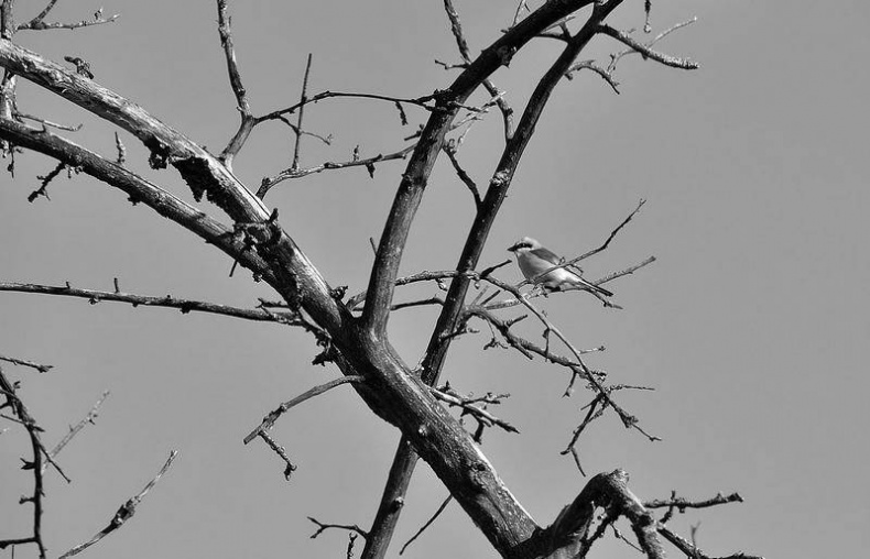 Вокруг света Вокруг света