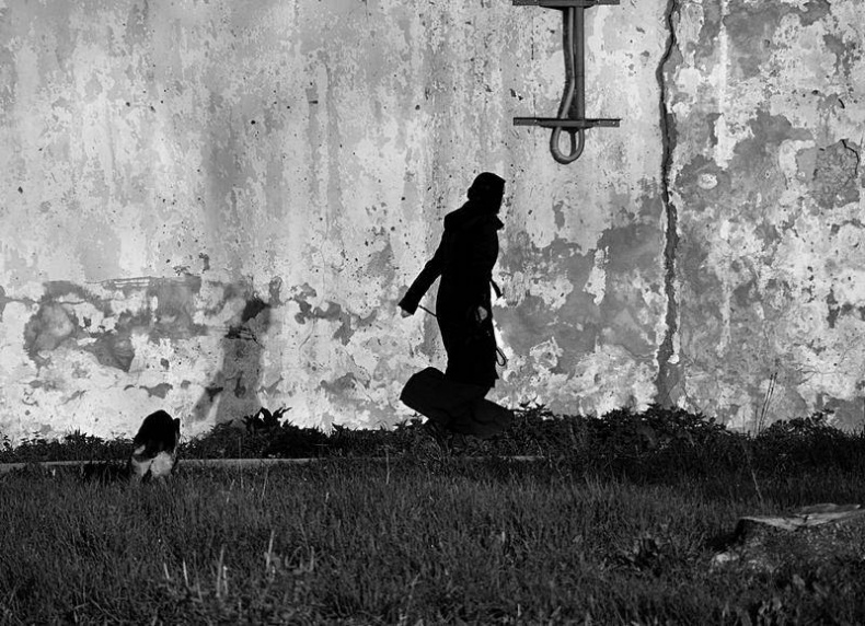 Вокруг света Вокруг света