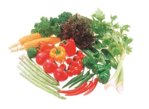 365 салатов на каждый день 365 салатов на каждый день