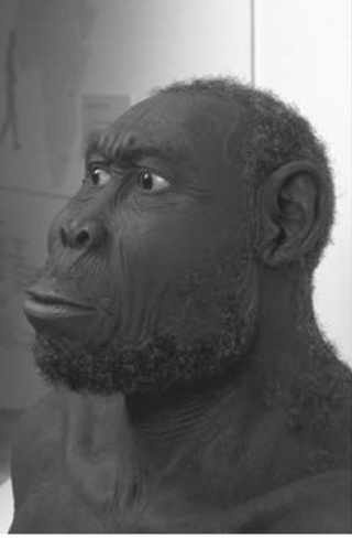 Sapiens. Краткая история человечества Sapiens. Краткая история человечества