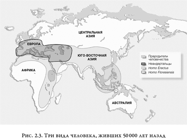 На заре человечества. Неизвестная история наших предков На заре человечества. Неизвестная история наших предков
