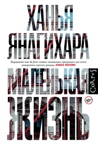 Маленькая жизнь - Ханья Янагихара - Читать книги онлайн | Слушать аудиокниги онлайн | Электронная библиотека books-lib.com