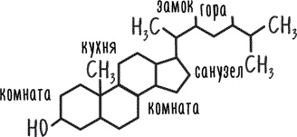 Тук-тук, сердце! Как подружиться с самым неутомимым органом и что будет, если этого не сделать Тук-тук, сердце! Как подружиться с самым неутомимым органом и что будет, если этого не сделать