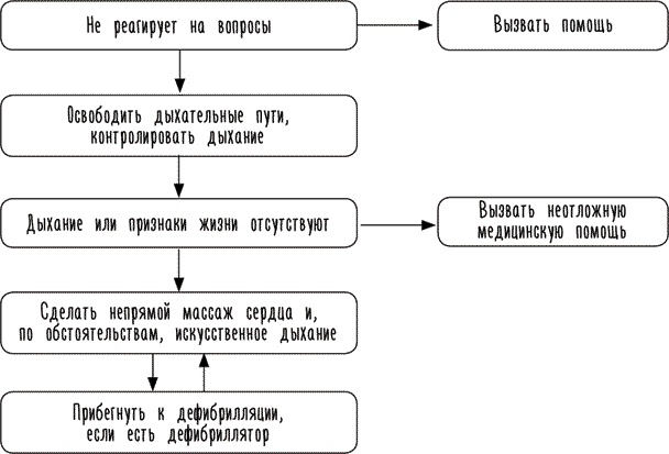 Тук-тук, сердце! Как подружиться с самым неутомимым органом и что будет, если этого не сделать Тук-тук, сердце! Как подружиться с самым неутомимым органом и что будет, если этого не сделать