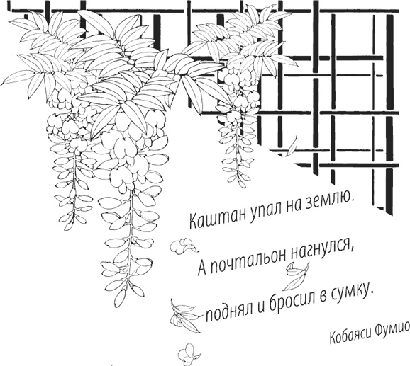 Memento. Книга перехода Memento. Книга перехода