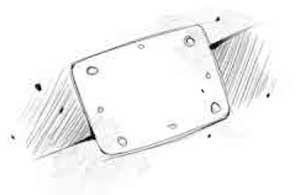 Пардус. Книга 5. Восставшая из пепла Пардус. Книга 5. Восставшая из пепла