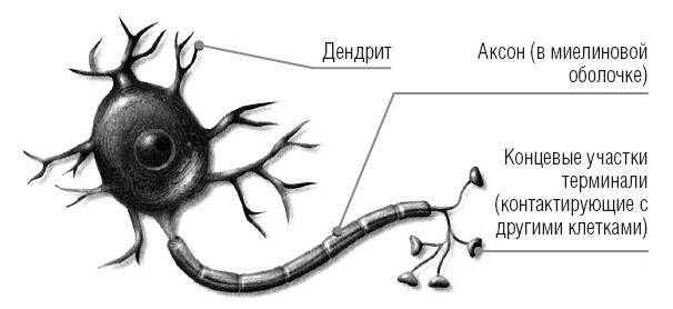 Сила мысли. Поменяйте ход своих мыслей, измените свою жизнь Сила мысли. Поменяйте ход своих мыслей, измените свою жизнь