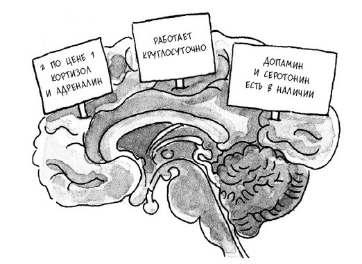 Сила мысли. Поменяйте ход своих мыслей, измените свою жизнь Сила мысли. Поменяйте ход своих мыслей, измените свою жизнь