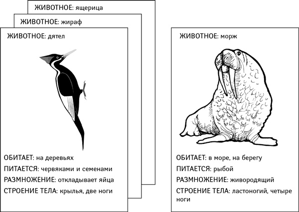 Объясняя религию. Природа религиозного мышления Объясняя религию. Природа религиозного мышления