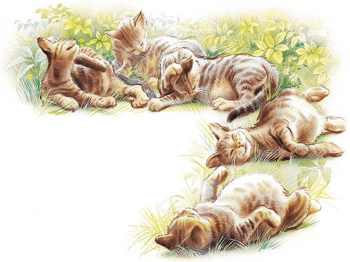 Маруся спешит на помощь. Кошечка. Воробей (сборник) Маруся спешит на помощь. Кошечка. Воробей (сборник)
