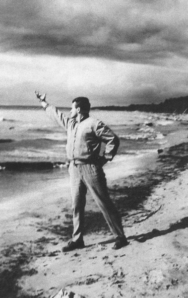 Таинственная страсть. Роман о шестидесятниках Таинственная страсть. Роман о шестидесятниках