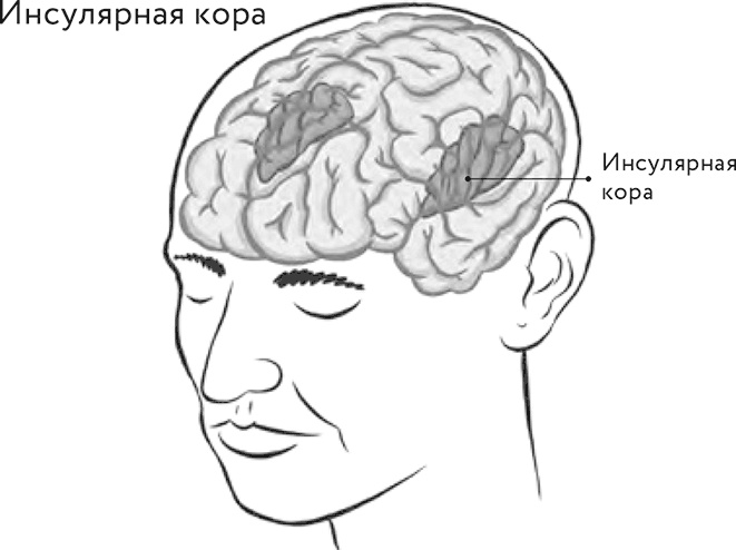 Восходящая спираль. Как нейрофизиология помогает справиться с негативом и депрессией – шаг за шагом Восходящая спираль. Как нейрофизиология помогает справиться с негативом и депрессией – шаг за шагом