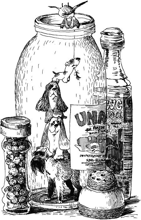 Орден фарфоровых рыцарей Орден фарфоровых рыцарей