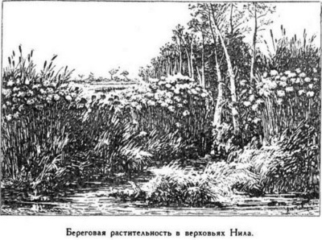 Мореплаватели XVIII века Мореплаватели XVIII века