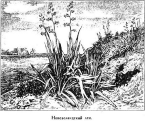 Мореплаватели XVIII века Мореплаватели XVIII века