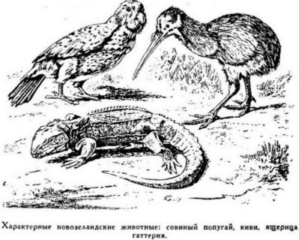 Мореплаватели XVIII века Мореплаватели XVIII века