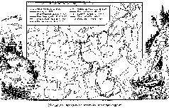 Путешественники XIX века Путешественники XIX века