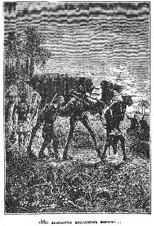 Путешественники XIX века Путешественники XIX века