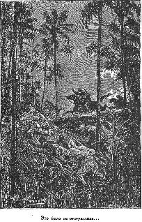 Путешественники XIX века Путешественники XIX века