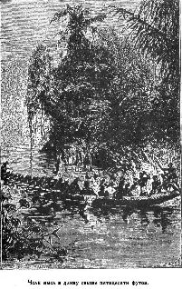 Путешественники XIX века Путешественники XIX века