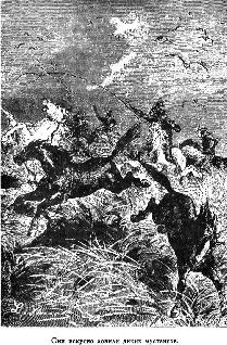 Путешественники XIX века Путешественники XIX века