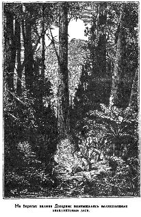 Путешественники XIX века Путешественники XIX века