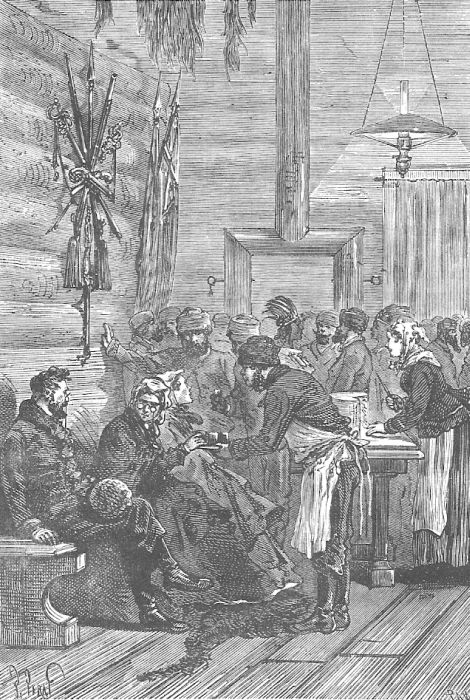 В стране мехов В стране мехов