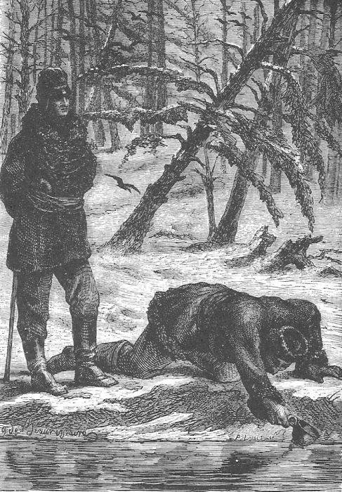 В стране мехов В стране мехов