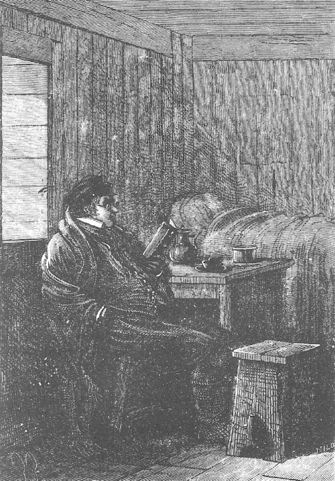В стране мехов В стране мехов