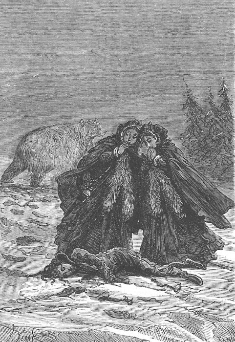 В стране мехов В стране мехов