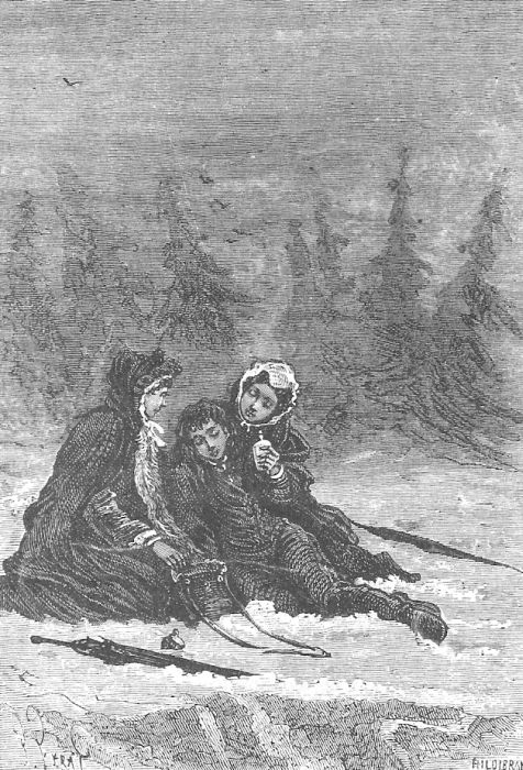 В стране мехов В стране мехов