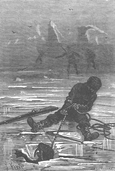 В стране мехов В стране мехов