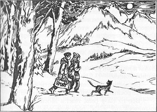 Чародейские каникулы Чародейские каникулы