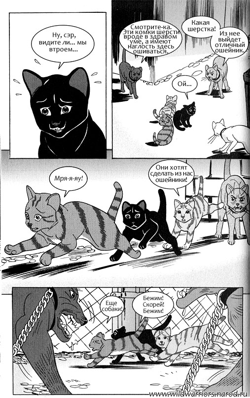 Звездоцап и Саша: Возвращение в племена Звездоцап и Саша: Возвращение в племена