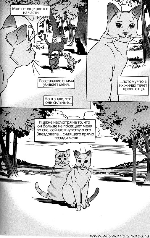 Звездоцап и Саша: Возвращение в племена Звездоцап и Саша: Возвращение в племена