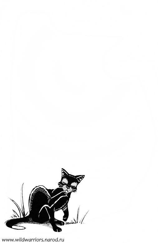 Манга. Путь Горелого. Разрушенный мир Манга. Путь Горелого. Разрушенный мир