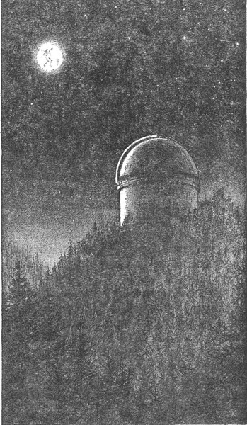 Колючник Колючник