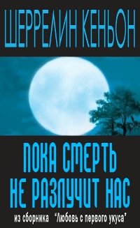 Пока смерть не разлучит нас - Шеррилин Кеньон - Читать книги онлайн | Слушать аудиокниги онлайн | Электронная библиотека books-lib.com