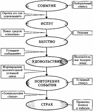 Средство от страха - Андрей Владимирович Курпатов