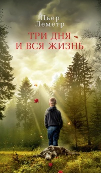 Три дня и вся жизнь - Пьер Леметр - Читать книги онлайн | Слушать аудиокниги онлайн | Электронная библиотека books-lib.com