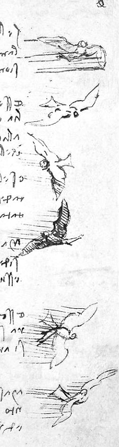 Леонардо да Винчи. Загадки гения Леонардо да Винчи. Загадки гения