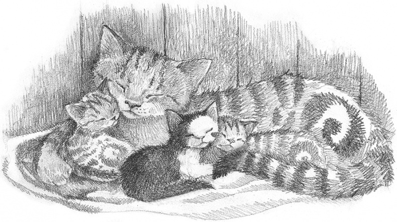 Котенок Кэтти, или Секрет в шкафу Котенок Кэтти, или Секрет в шкафу